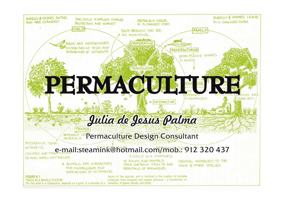 Permaculture garden design