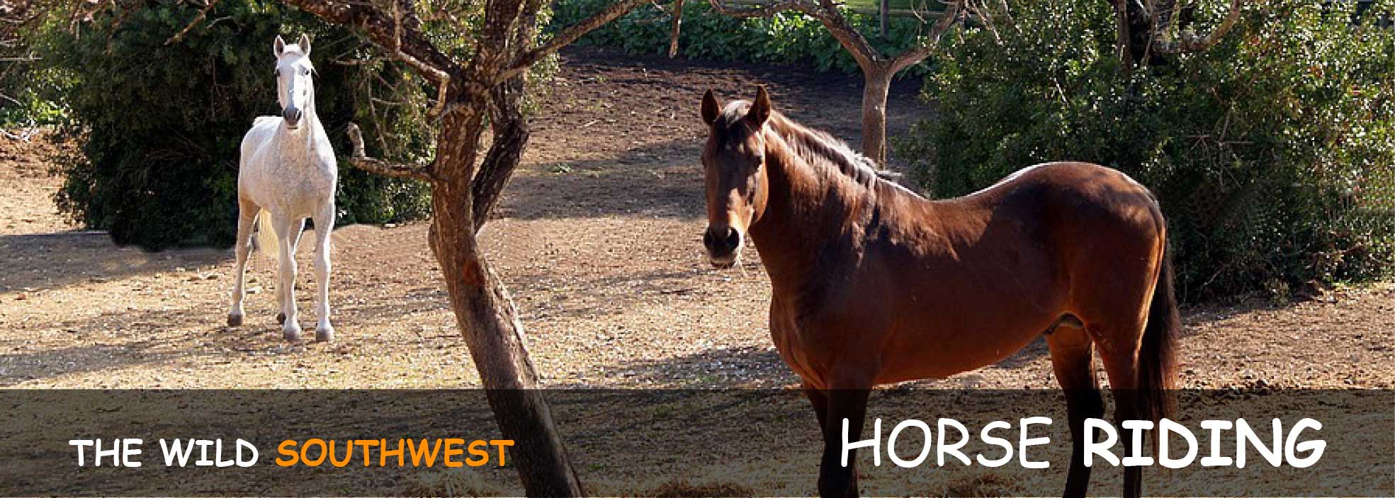 Horse riding in Portugal