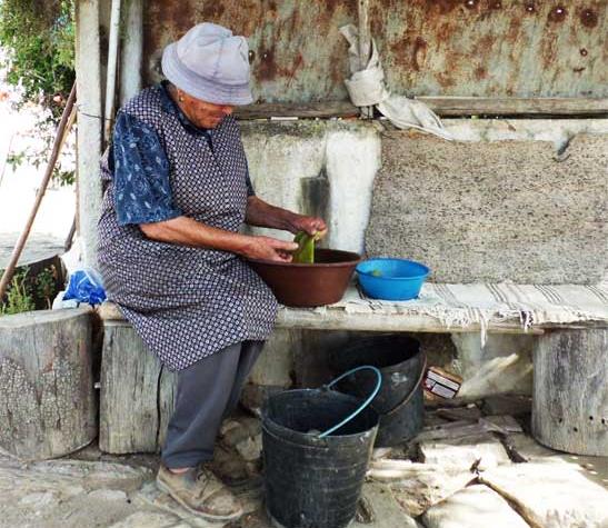 Daily life in the countryside of Portugal