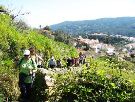 walking tours in Monchique, algarve