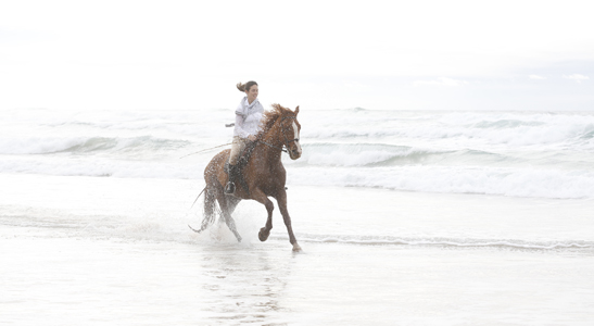 equestrian holiday Southwest Portugal