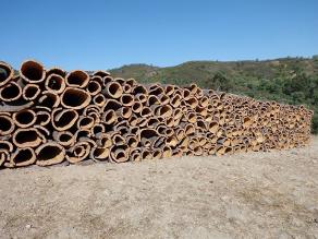 cork harvest in the south of Portugal